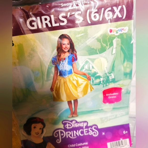 Disney Princess Child Costume, Girl 6/6X ,New in Package - Picture 1 of 1